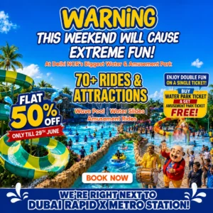 Water Park And Amusement Park