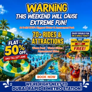 Water Park And Amusement Park